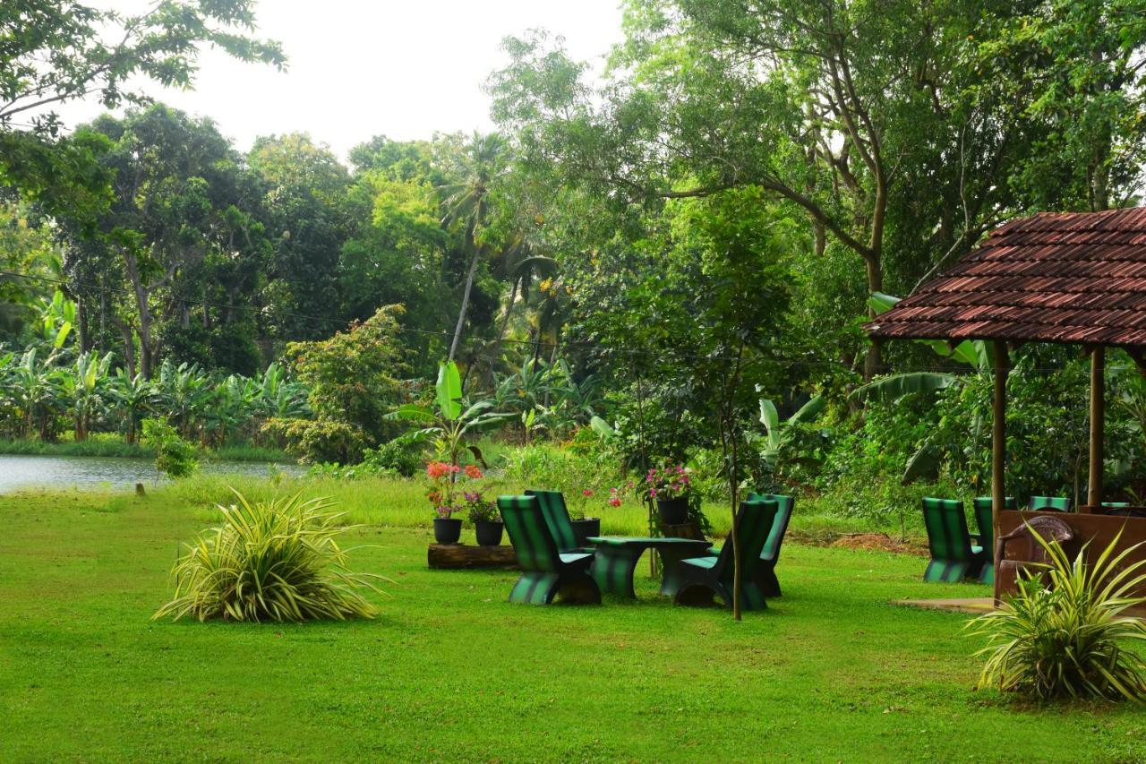 Canal Side Safari Resort Удавалаве Екстер'єр фото