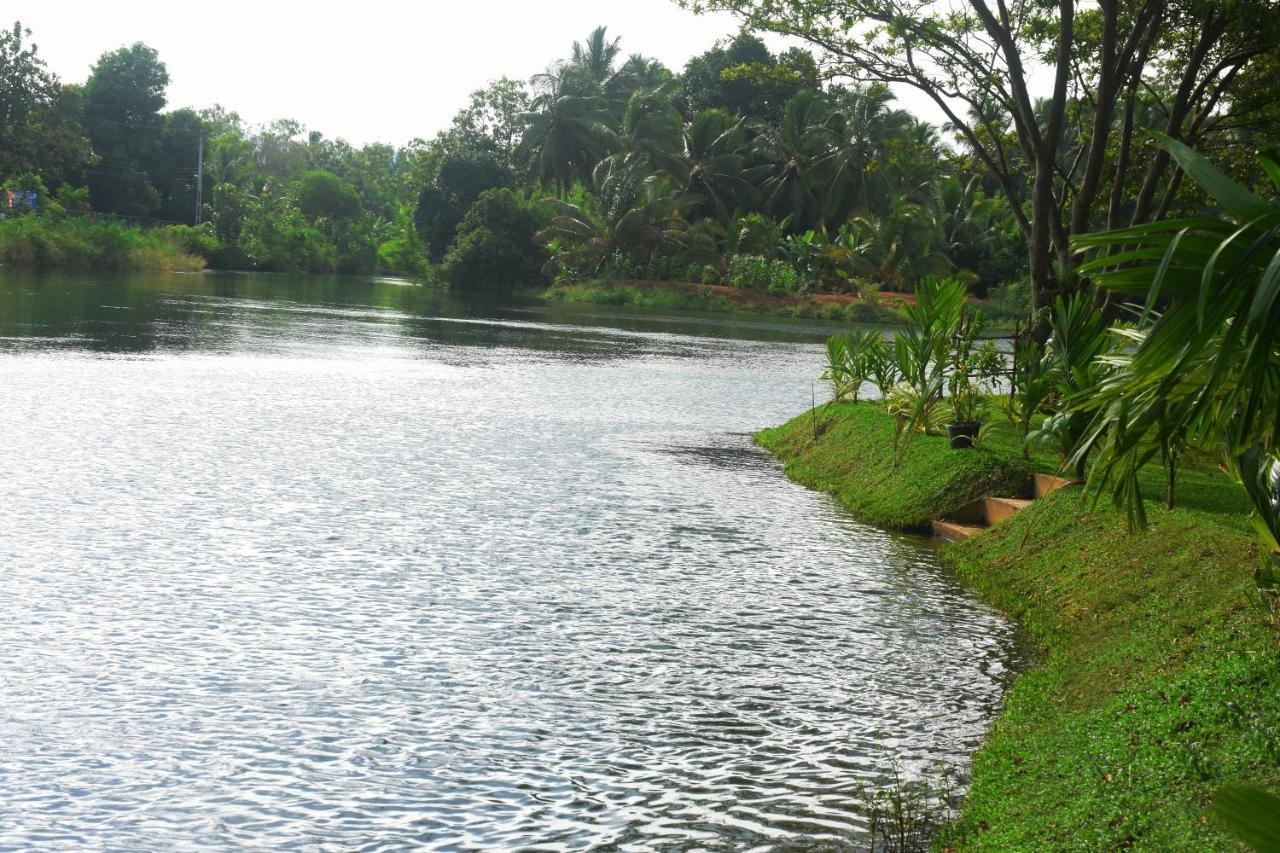 Canal Side Safari Resort Удавалаве Екстер'єр фото
