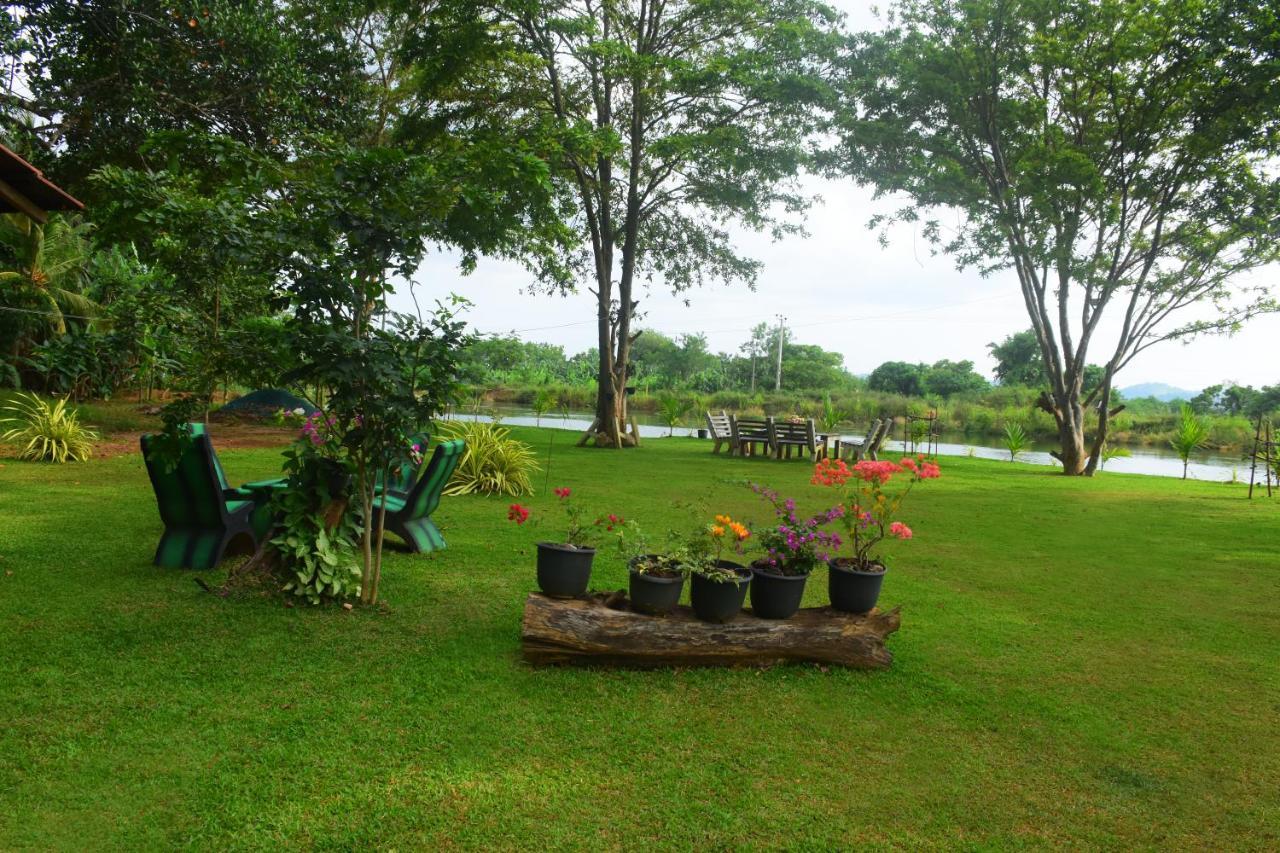 Canal Side Safari Resort Удавалаве Екстер'єр фото