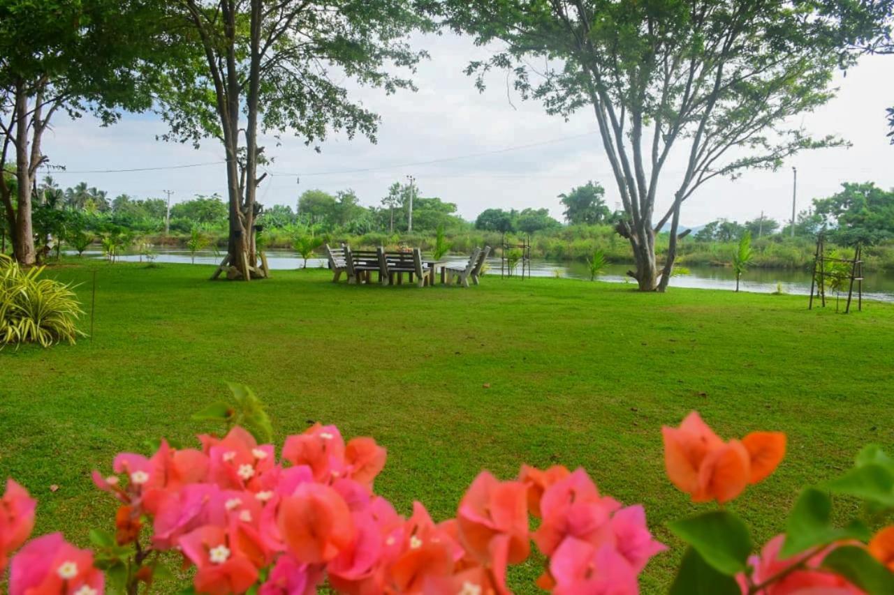 Canal Side Safari Resort Удавалаве Екстер'єр фото