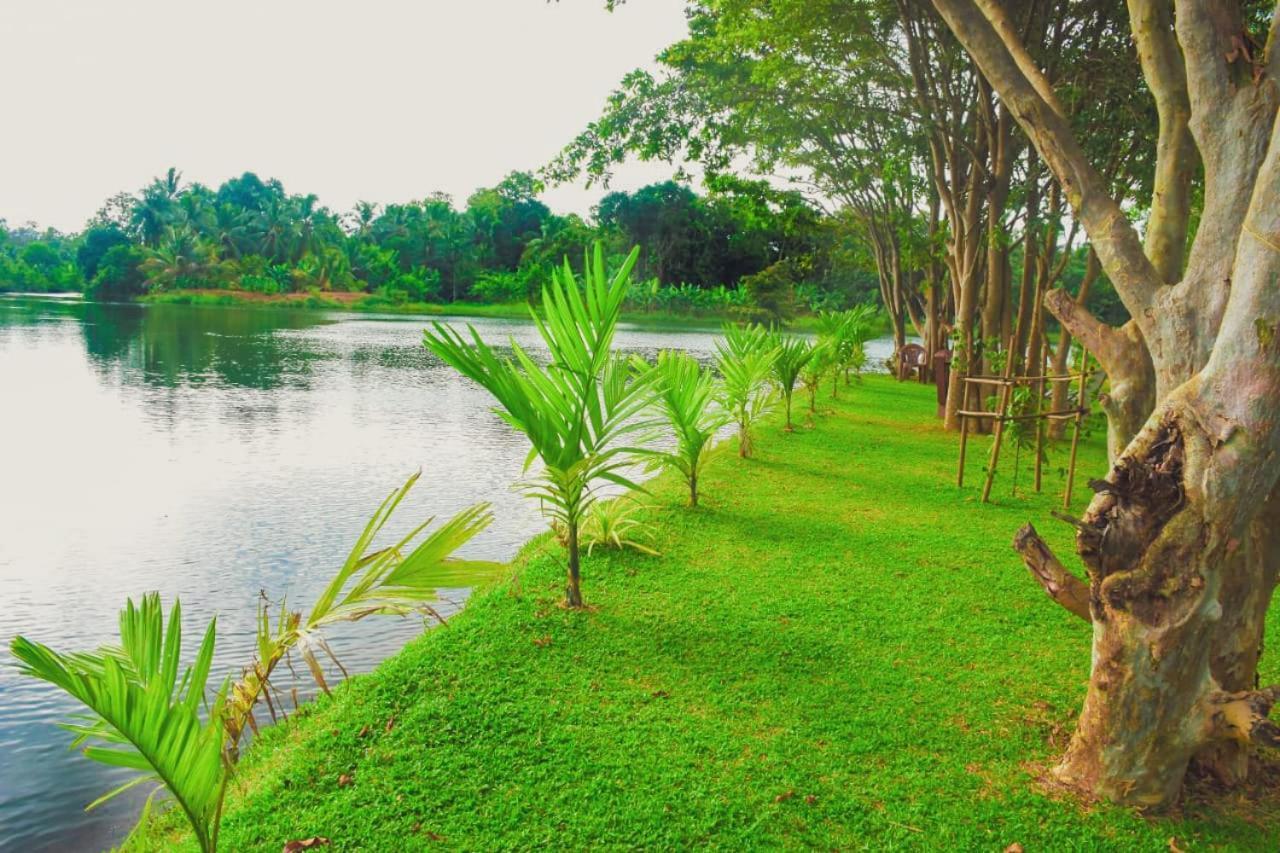 Canal Side Safari Resort Удавалаве Екстер'єр фото
