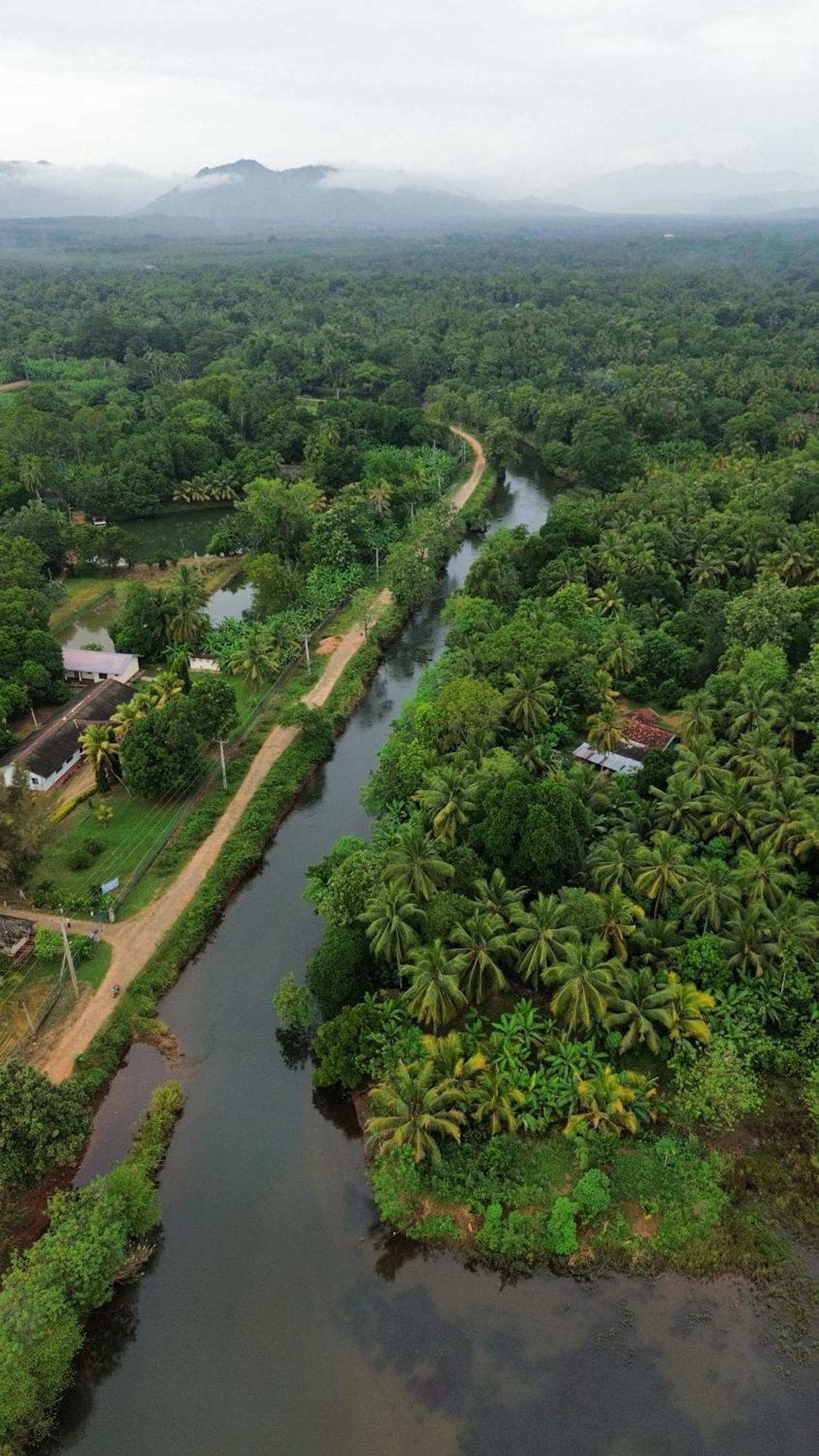 Canal Side Safari Resort Удавалаве Екстер'єр фото